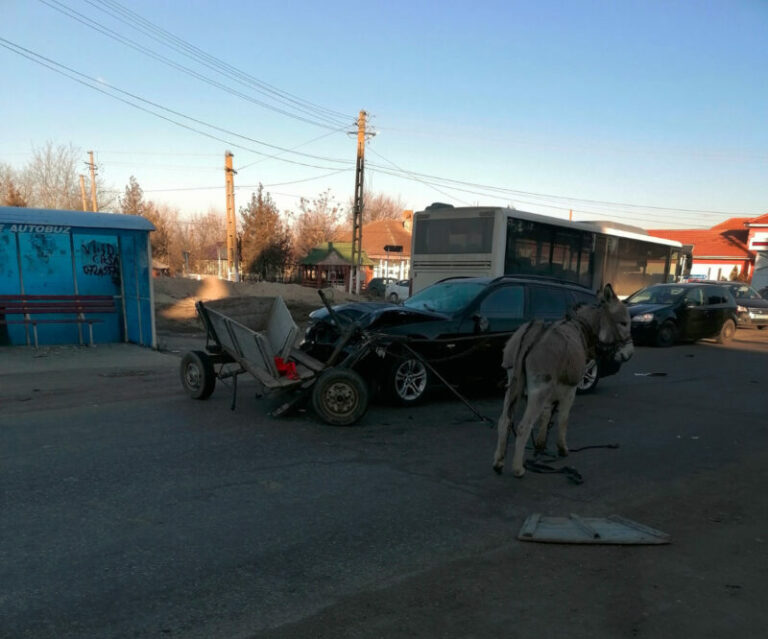 A intrat cu mașina într-o căruță