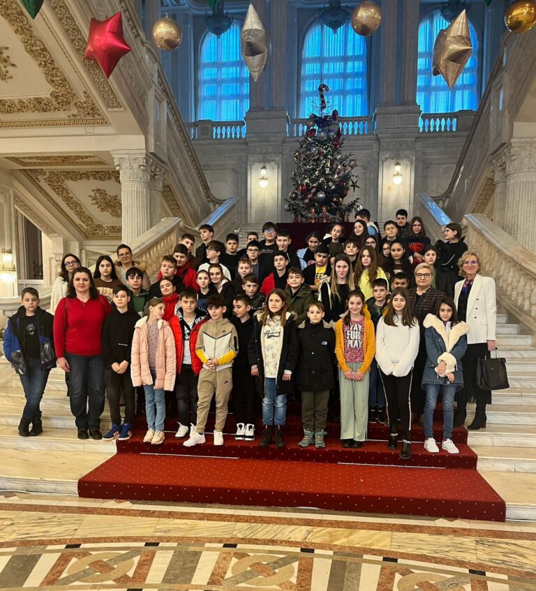 Elevii unui liceu din Slatina au vizitat Parlamentul României