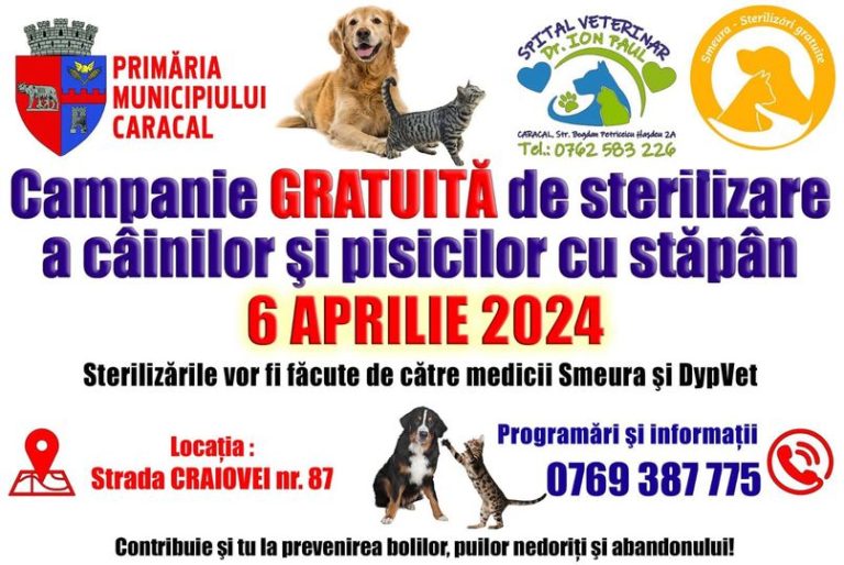 Primăria Caracal continuă campaniile de sterilizare gratuită a câinilor și pisicilor cu stăpân