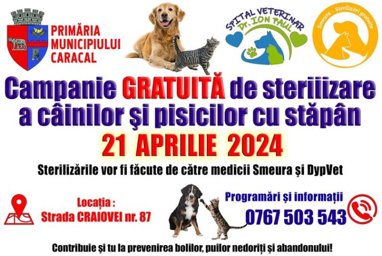 O nouă campanie gratuită de sterilizare a câinilor și pisicilor cu stăpân
